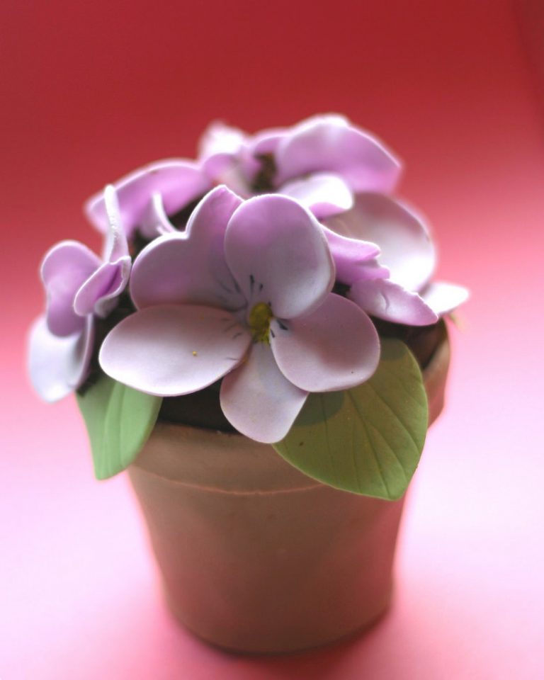 Baby shower cake: Flower pot cake with purple flowers in a terracotta pot.