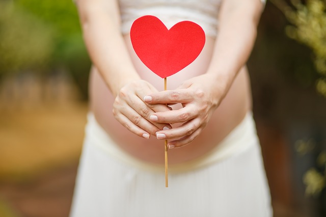 Pregnant woman holding a red heart out in front of her belly